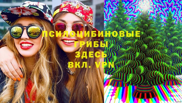 мдпв Ростов