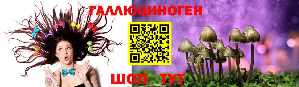Псилоцибиновые грибы мухоморы Ивантеевка